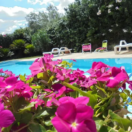Casa Vacanze Edera & Pupi Holiday home Modica